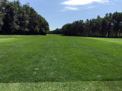 乌鲁木齐雪莲山高尔夫球会-冬季封场中 商品图3