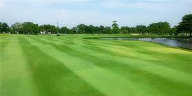 泰国曼谷 绿谷乡村高尔夫俱乐部 Green Valley Country Club