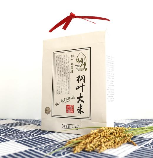 桐叶超日标大米-专属米卡购买链接，健康新定义 月月配送到家 商品图4