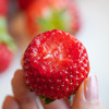 【限时特惠】建德·红颜草莓（中果*2盒+大果*1盒）饱满新鲜，酸甜平衡，草莓香浓郁 商品缩略图4