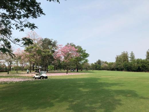 泰国曼谷 青果（酒庄）高尔夫俱乐部 The Vintage Club 商品图2