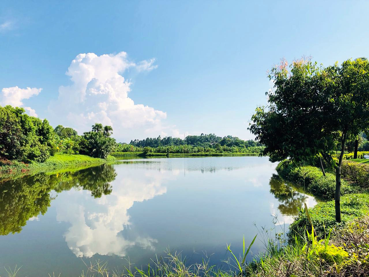 广东东莞华龙高尔夫球会（原中信常平）