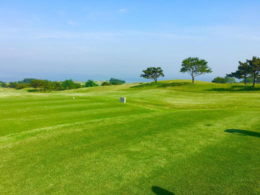 辽宁大连夏丽国际高尔夫球会 商品图3