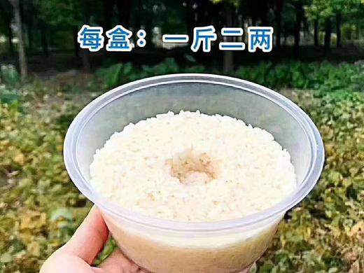 沙奶奶纯手工酒酿 商品图4