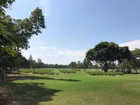 泰国曼谷 青果（酒庄）高尔夫俱乐部 The Vintage Club