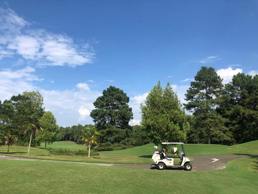 安徽黄山松柏高尔夫球会-森林场 商品图2