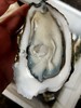鲜活大生蚝约200一250g/1个// 商品缩略图1