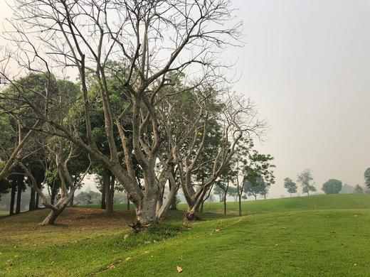泰国清迈 艾潘高尔夫度假村 Alpine Golf Resort Chiang Mai 商品图1