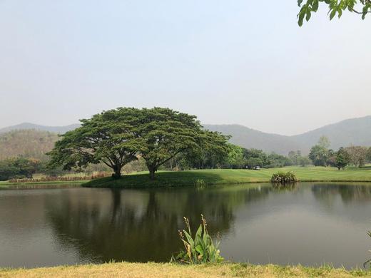 泰国清迈 艾潘高尔夫度假村 Alpine Golf Resort Chiang Mai 商品图2