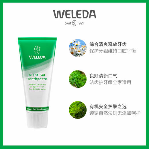 【品牌旗舰】WELEDA维蕾德  综合植物牙膏75ml 有机 无氟 商品图3