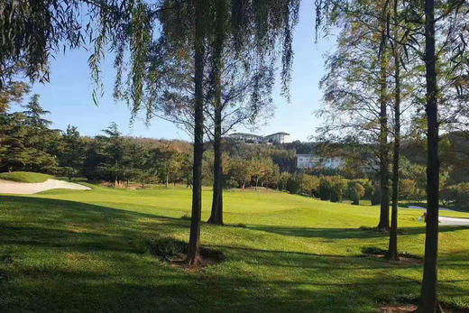 山东南山国际高尔夫球会 商品图3