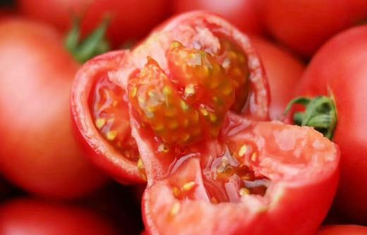 【口感好】黄金籽西红柿 老品种自然熟番茄 籽粒饱满 儿时味道！自然成熟慢，天气渐冷、西红柿个头小，介意的家人们勿拍！！！ 商品图1