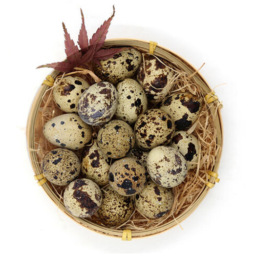 鹌鹑蛋/2斤 - 新世纪到家