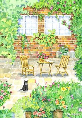 为庄园猫猫养护特推出的有机蔬菜采摘年卡（2025年度）