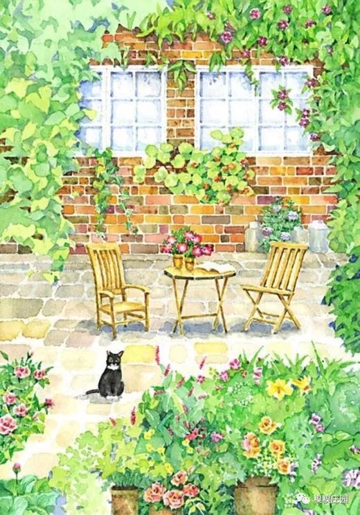 为庄园猫猫养护特推出的有机蔬菜采摘年卡（2025年度） 商品图0