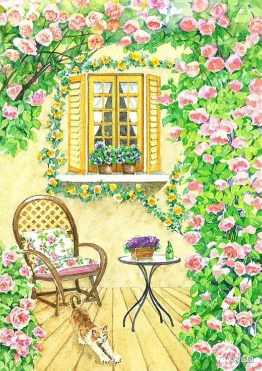 为庄园猫猫养护特推出的有机蔬菜采摘年卡（2025年度） 商品图1