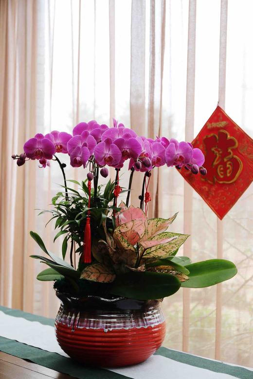 00-120.00 库存:   件 立即购买     /      支付: 微信支付银行卡