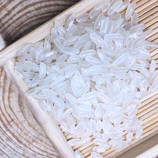 溢田东北五常大米5kg黑龙江大米【厂家直供】 商品图2