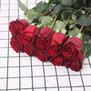 玫瑰·高原红 商品缩略图0