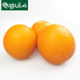湖北秭归纽荷尔 橙子新鲜当季水果