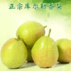 【秒杀19.8元/箱】正宗库尔勒香梨(小果)1箱 (带箱重约9斤，净重约7斤）【当天可提货】 商品缩略图0