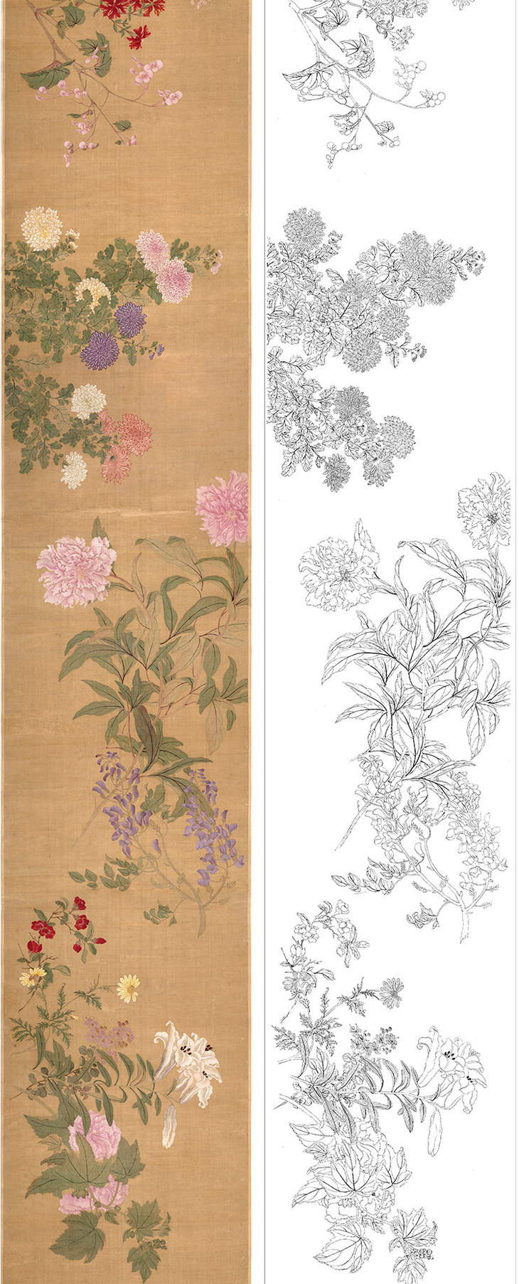 工笔花鸟画白描底稿古画长卷恽寿平《百花图卷》多种白描尺寸