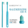 【品牌直发】包邮！日本进口狮王正畸牙刷Dent.Ex小头正畸矫正牙齿专用牙刷 U T R P型 商品缩略图3