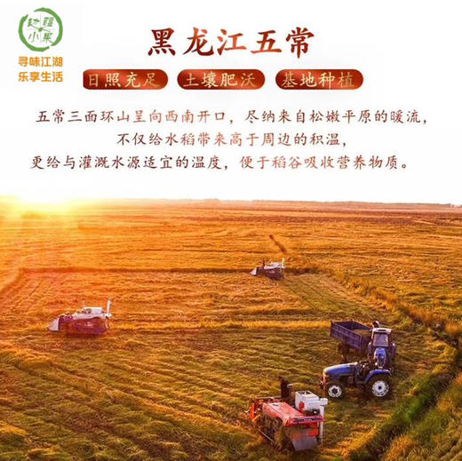 正宗稻花香2号 五常大米（从磨米到收货不超15天） 商品图14