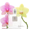 芦丹氏 艾蒿之水 Serge Lutens L'Eau d'Armoise 小样/正装 商品缩略图0