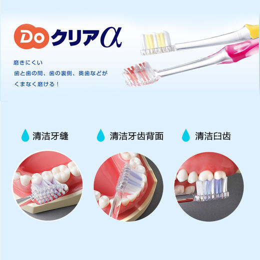 日本进口Do Clear超贴合净齿牙刷（超小刷头中毛/软毛） 商品图2
