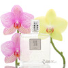 芦丹氏 柠檬树花 Serge Lutens Fleurs de Citronnier 小样/正装 商品缩略图0