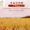 正宗稻花香2号 五常大米（从磨米到收货不超15天） 商品缩略图13