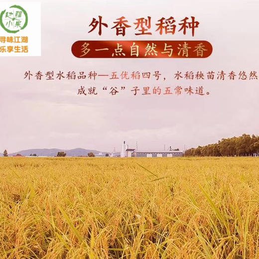 正宗稻花香2号 五常大米（从磨米到收货不超15天） 商品图13