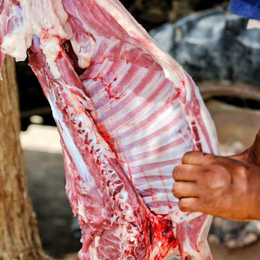 顺丰包邮，正常发货！新疆尉犁罗布塔河小羔羊肉 • 走戈壁、喝雪水、吃碱草 • 不膻不腻，清水炖都好吃 商品图13