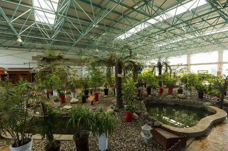 即买即用59元抢蓝波湾温泉水世界双人特惠票含温泉游泳温泉洗浴温泉