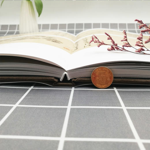 官方旗舰店 陈淳精品画集 精装 中国名家历代人物作品集画册 菊石花卉 天津人民美术出版社--天津出版传媒集团！ 商品图2