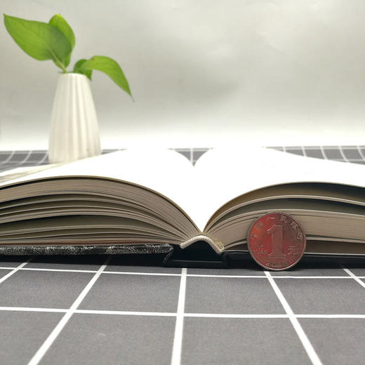 官方旗舰 髡残绘画作品编年图录清四僧国画工笔山水画家生平天津人民美术出版社--天津出版传媒集团！ 商品图2