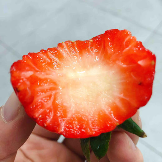 【有仙气的草莓】孕妇儿童放心吃，本地红颜草莓，无膨大剂，无催熟，自然成熟，当季时鲜！！ 商品图3