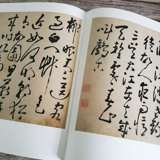 官方旗舰店 扬州画派书画全集黄慎清代书法美术国画画集扬州八家人物画山水花鸟行草隶书扇面全收录收藏鉴赏天津人民美术出版社--天津出版传媒集团！ 商品图3