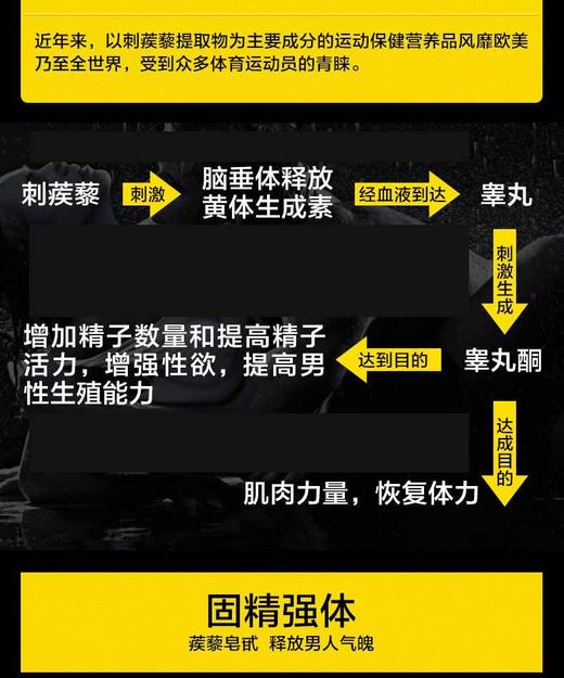 PIPINGROCK/朴诺 刺蒺藜胶囊  100粒    改善阳痿早泄，日常强身健体，提高精神，改善疲劳状态；同时改善勃起、延时，固精的效果，重要的是还能提高睾丸素的分泌，从而JPY带授权招加盟代理 商品图7