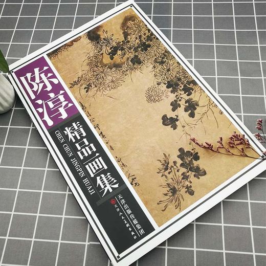 官方旗舰店 陈淳精品画集 精装 中国名家历代人物作品集画册 菊石花卉 天津人民美术出版社--天津出版传媒集团！ 商品图1