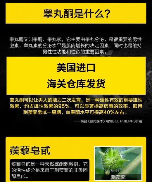 PIPINGROCK/朴诺 刺蒺藜胶囊  100粒    改善阳痿早泄，日常强身健体，提高精神，改善疲劳状态；同时改善勃起、延时，固精的效果，重要的是还能提高睾丸素的分泌，从而JPY带授权招加盟代理 商品图6