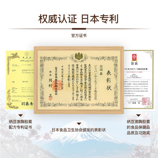 【日本原装进口】正品 纳豆激酶软胶囊——每日一粒呵护血管健康 商品图4