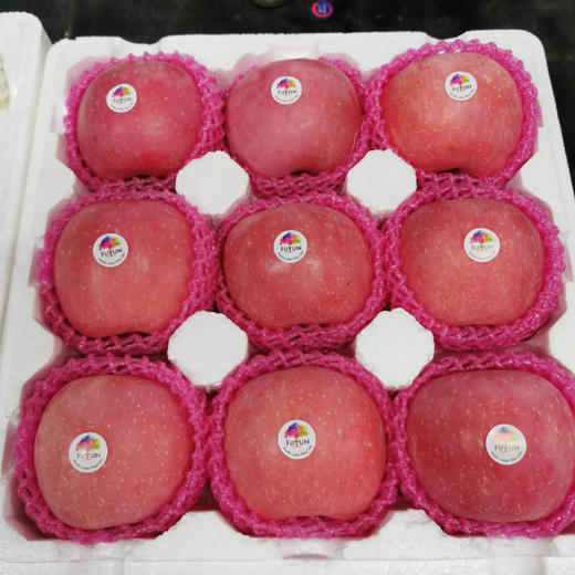 助农山东苹果 9个装 单果径>85mm 净重5斤/箱 商品图0