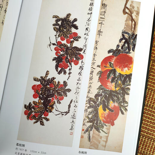 官方旗舰店 齐白石绘画作品图录国画书籍齐白石作品集全集花鸟鱼虫画集山水画册国画年鉴收藏鉴赏参考资料天津人民美术出版社--天津出版传媒集团！ 商品图3