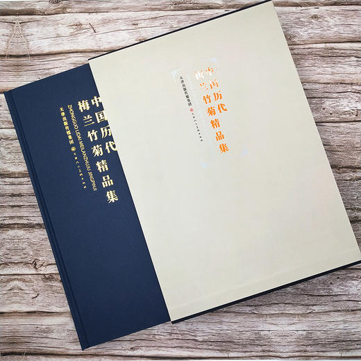 官方旗舰 中国历代梅兰竹菊精品集名家册页梅竹山水林石宋人花鸟草虫国画花卉技法画集中国画册艺术参考资料书天津人民美术出版社--天津出版传媒集团！ 商品图1