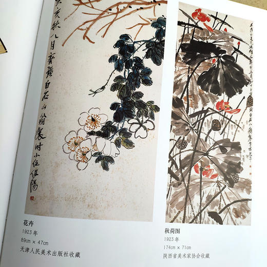 官方旗舰店 齐白石绘画作品图录国画书籍齐白石作品集全集花鸟鱼虫画集山水画册国画年鉴收藏鉴赏参考资料天津人民美术出版社--天津出版传媒集团！ 商品图4