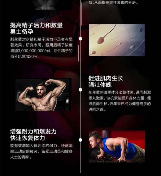 PIPINGROCK/朴诺 刺蒺藜胶囊  100粒    改善阳痿早泄，日常强身健体，提高精神，改善疲劳状态；同时改善勃起、延时，固精的效果，重要的是还能提高睾丸素的分泌，从而JPY带授权招加盟代理 商品图10