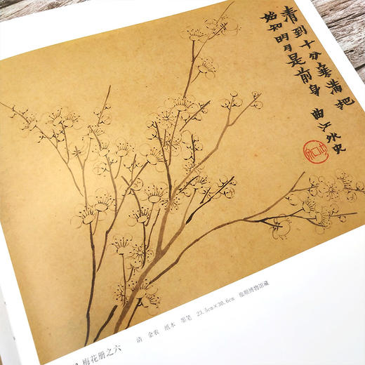 官方旗舰 中国历代梅兰竹菊精品集名家册页梅竹山水林石宋人花鸟草虫国画花卉技法画集中国画册艺术参考资料书天津人民美术出版社--天津出版传媒集团！ 商品图2