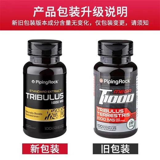 PIPINGROCK/朴诺 刺蒺藜胶囊  100粒    改善阳痿早泄，日常强身健体，提高精神，改善疲劳状态；同时改善勃起、延时，固精的效果，重要的是还能提高睾丸素的分泌，从而JPY带授权招加盟代理 商品图1